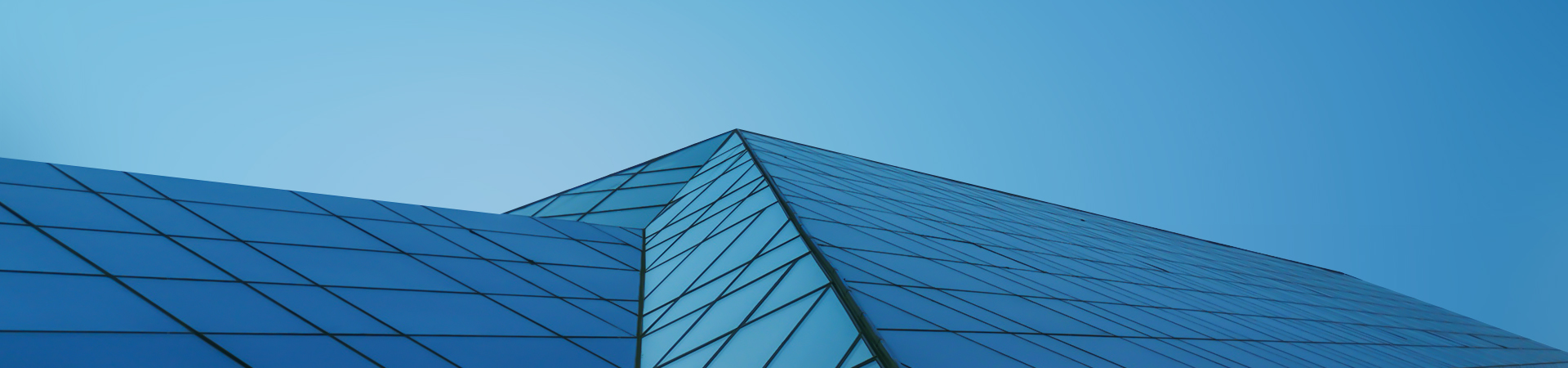 nybanner